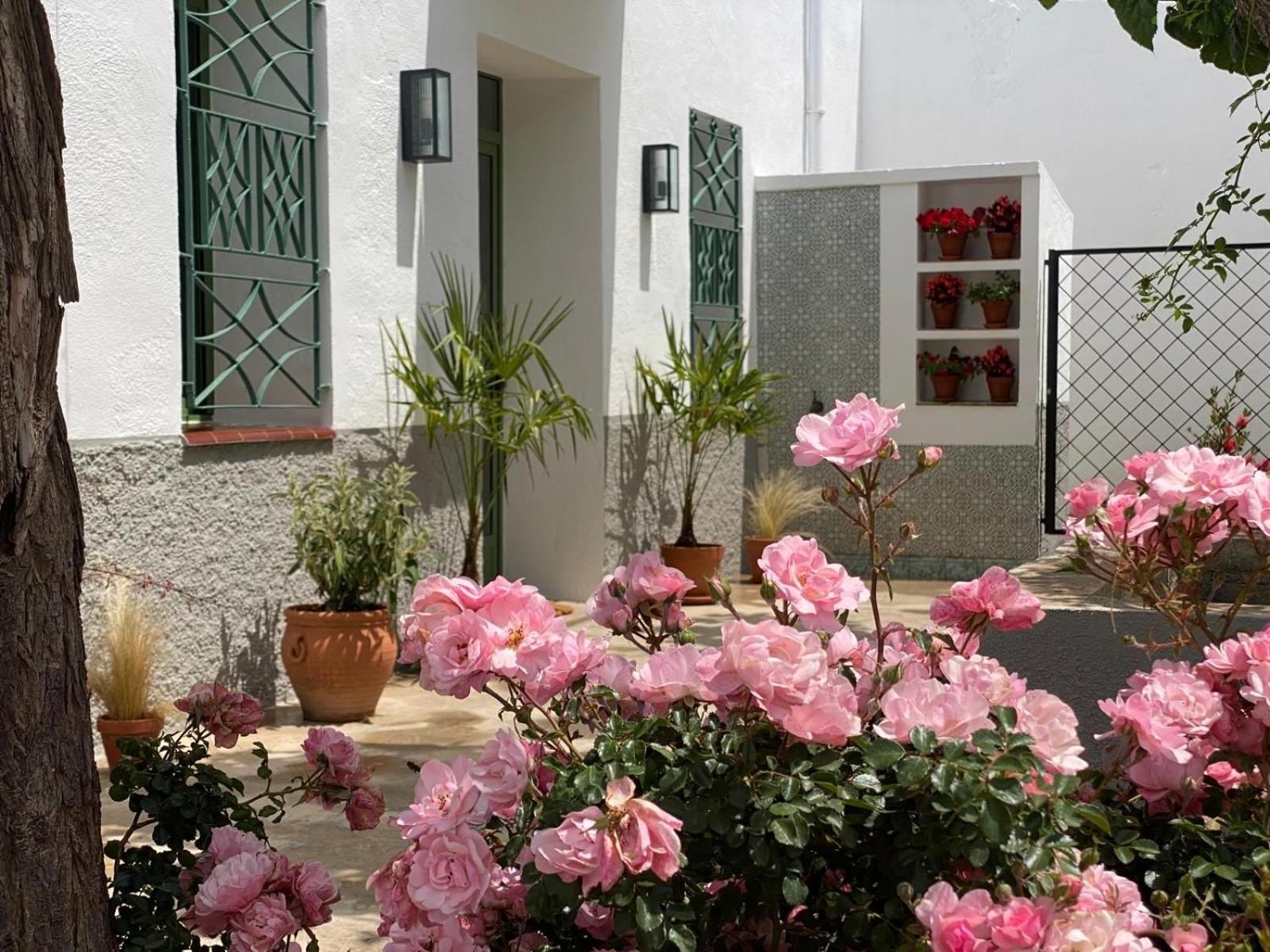 Les Filles Hotel Deltebre Kültér fotó